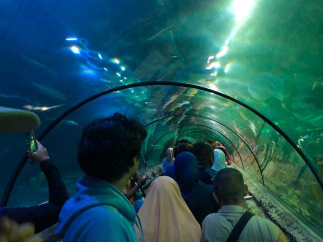 Antasena Tunnel Seaworld Ancol