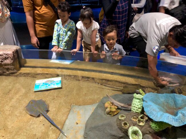 Feeding show baby shark