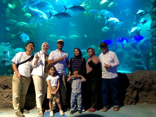 Main Aquarium Seaworld Ancol