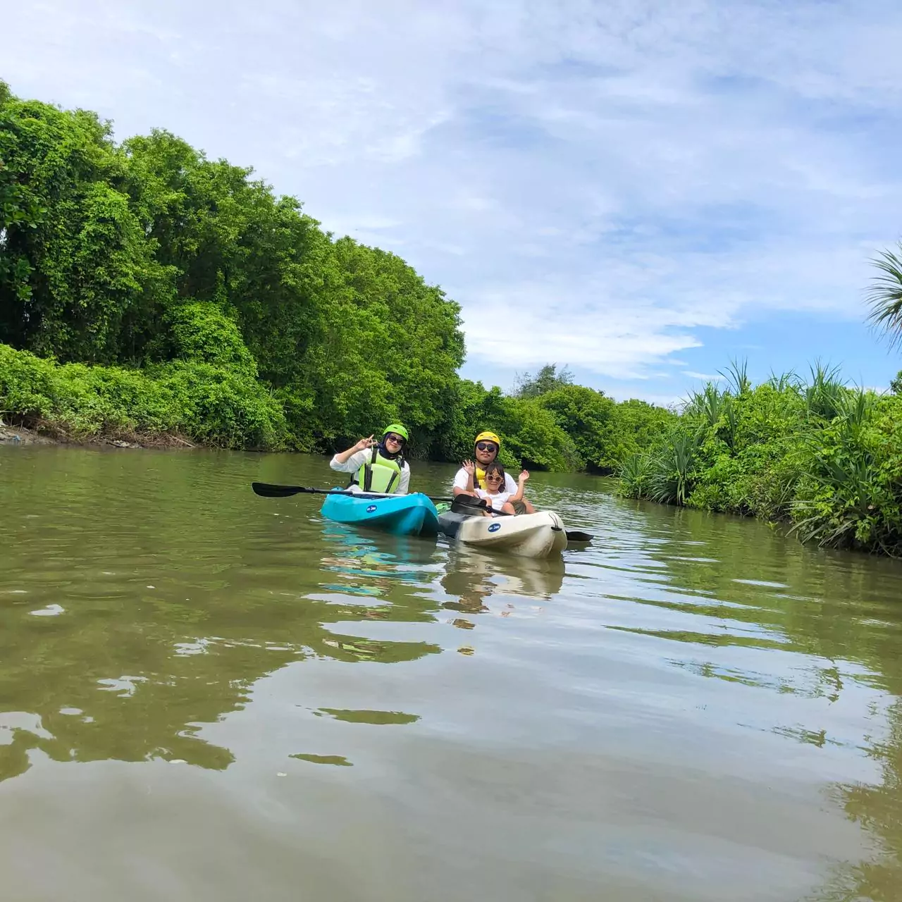 keindahan hutan mangrove