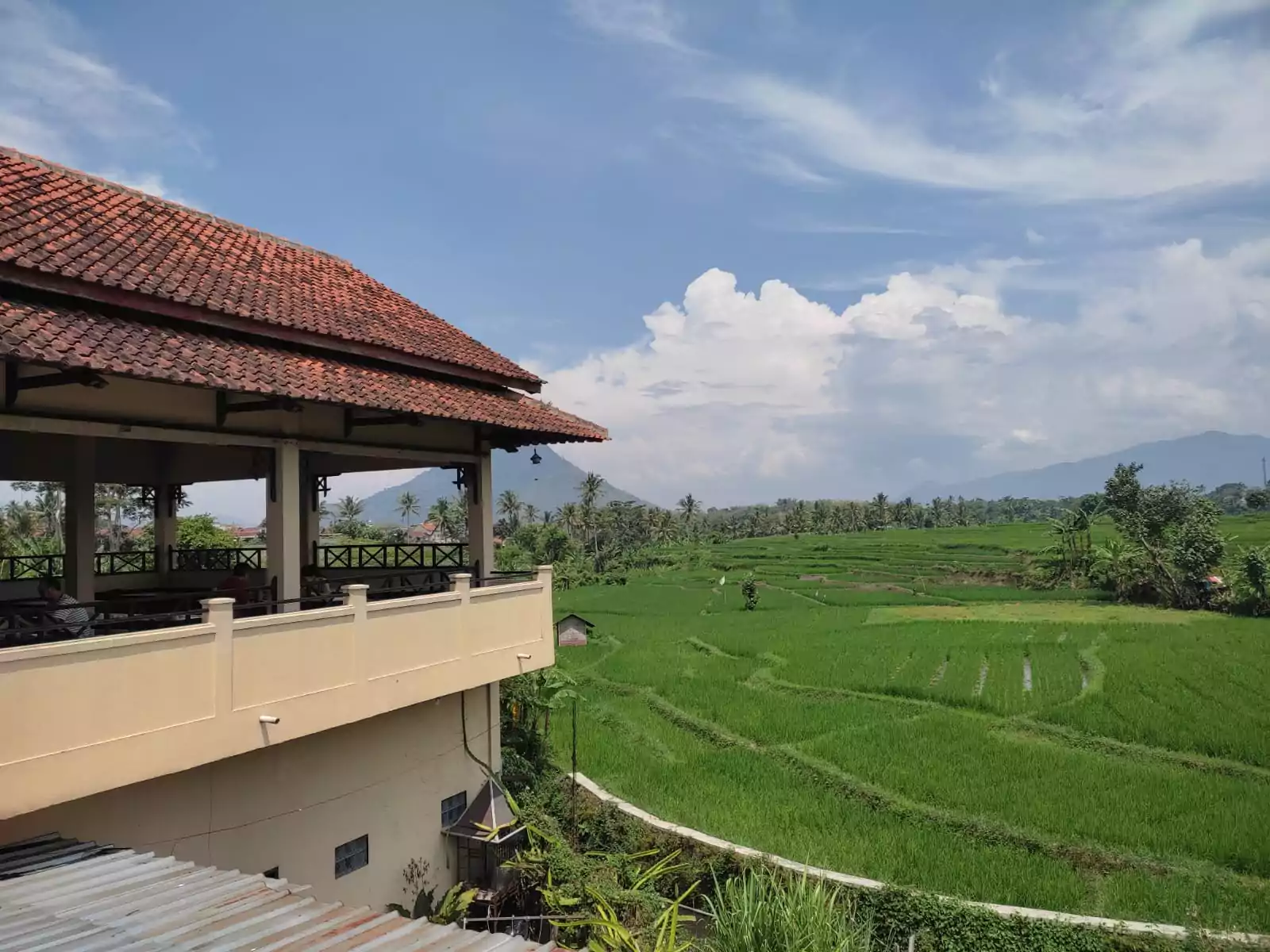 Makan di pinggir sawah