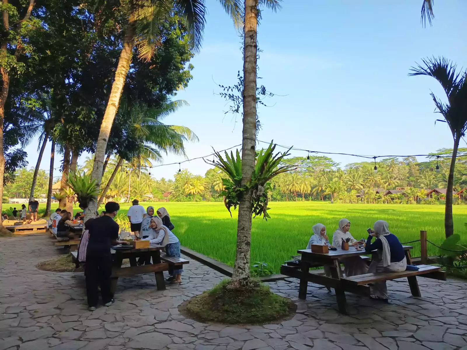 house of sawah outdoor
