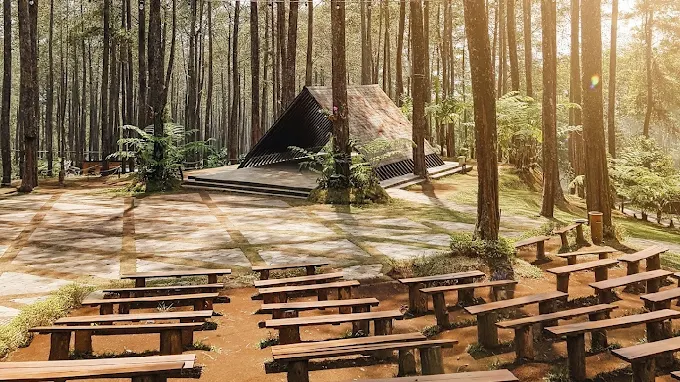 Orchid Forest Cikole